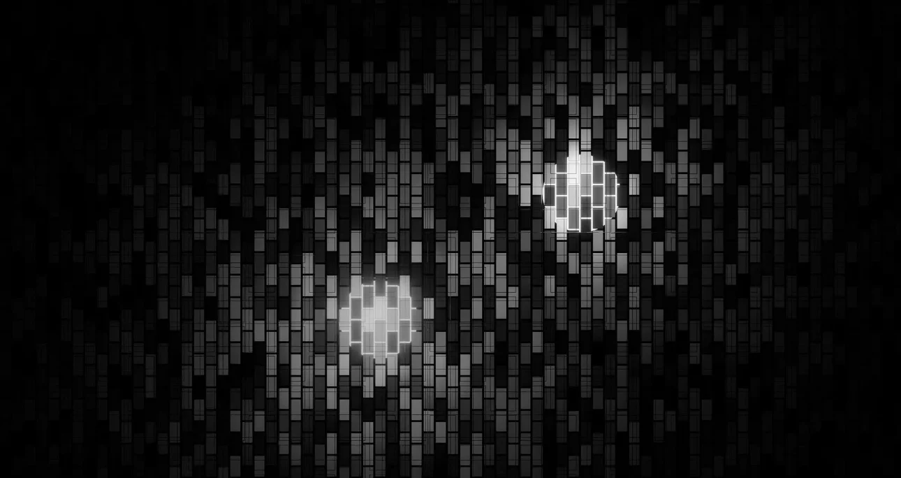 Programmazione e Sviluppo Software